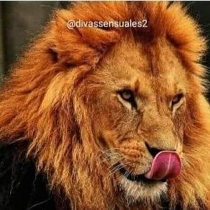 Meet your Posher, Virgo